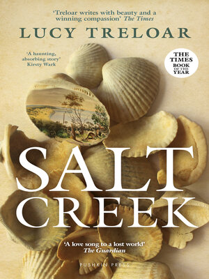 cover image of Salt Creek